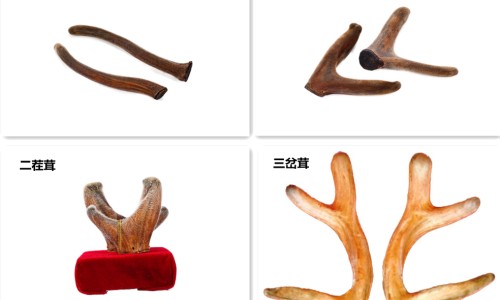 炎热清软胶囊多少钱一盒-炎热清胶囊的功效和作用-炎热清胶囊有副作用吗,中国炎清热软胶囊网站